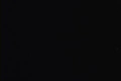 Premiere Performance of Saturday's Child 2006