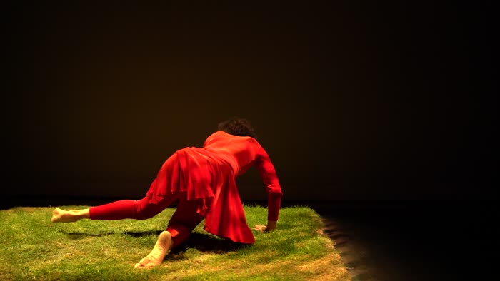 Rain Dance for Camera Raw Footage