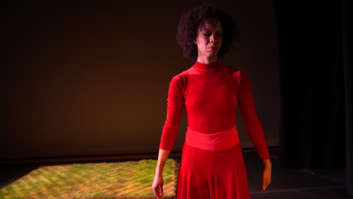 Rain Dance for Camera Raw Footage