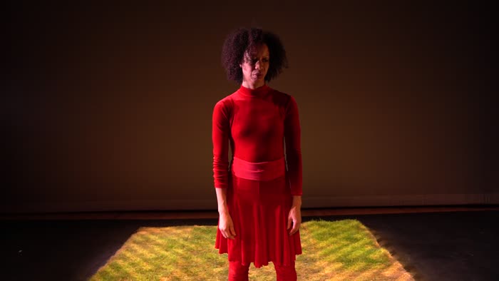 Rain Dance for Camera Raw Footage